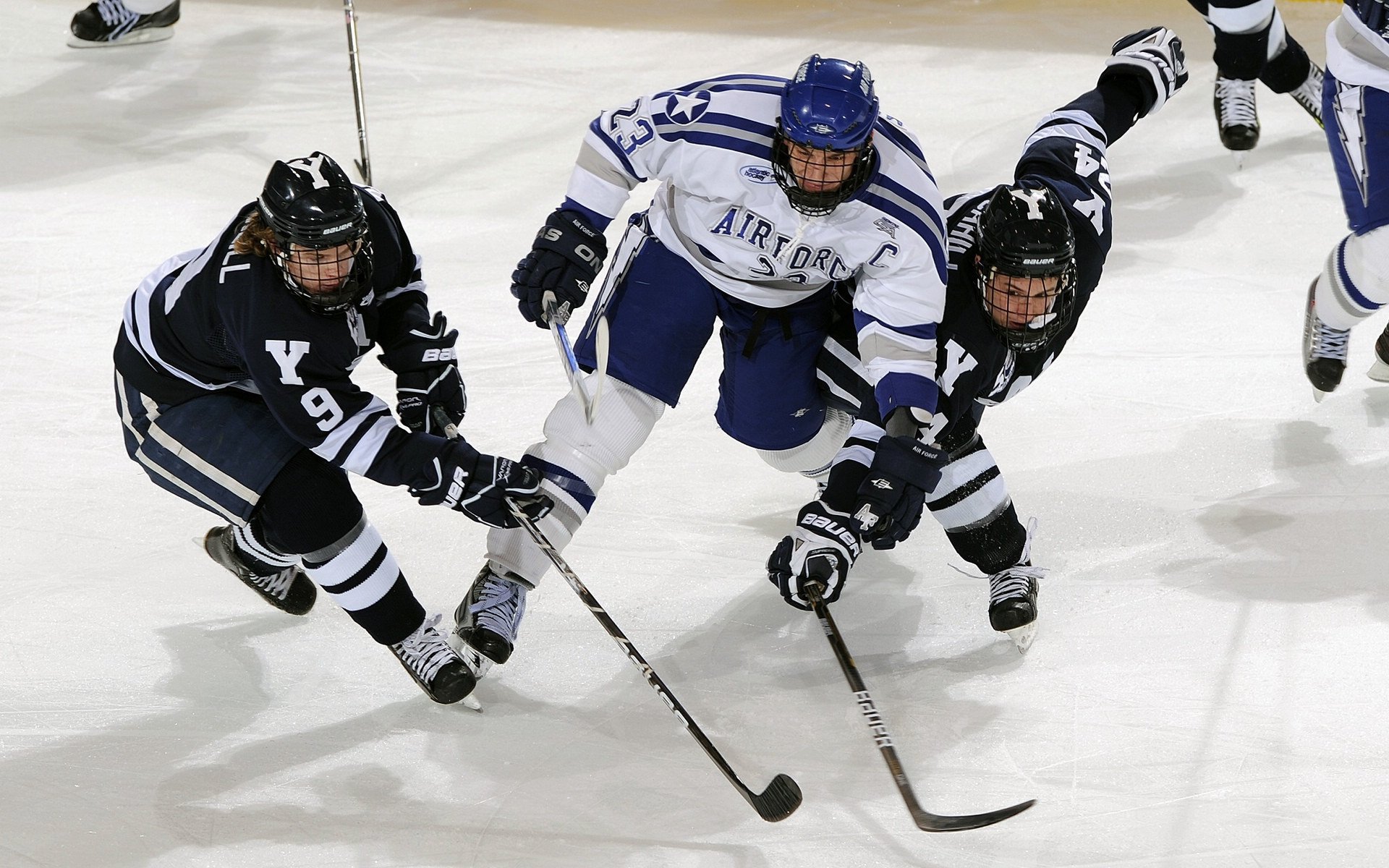 _老鹰主将缺席，全队团结迎挑战_，老鹰队伍