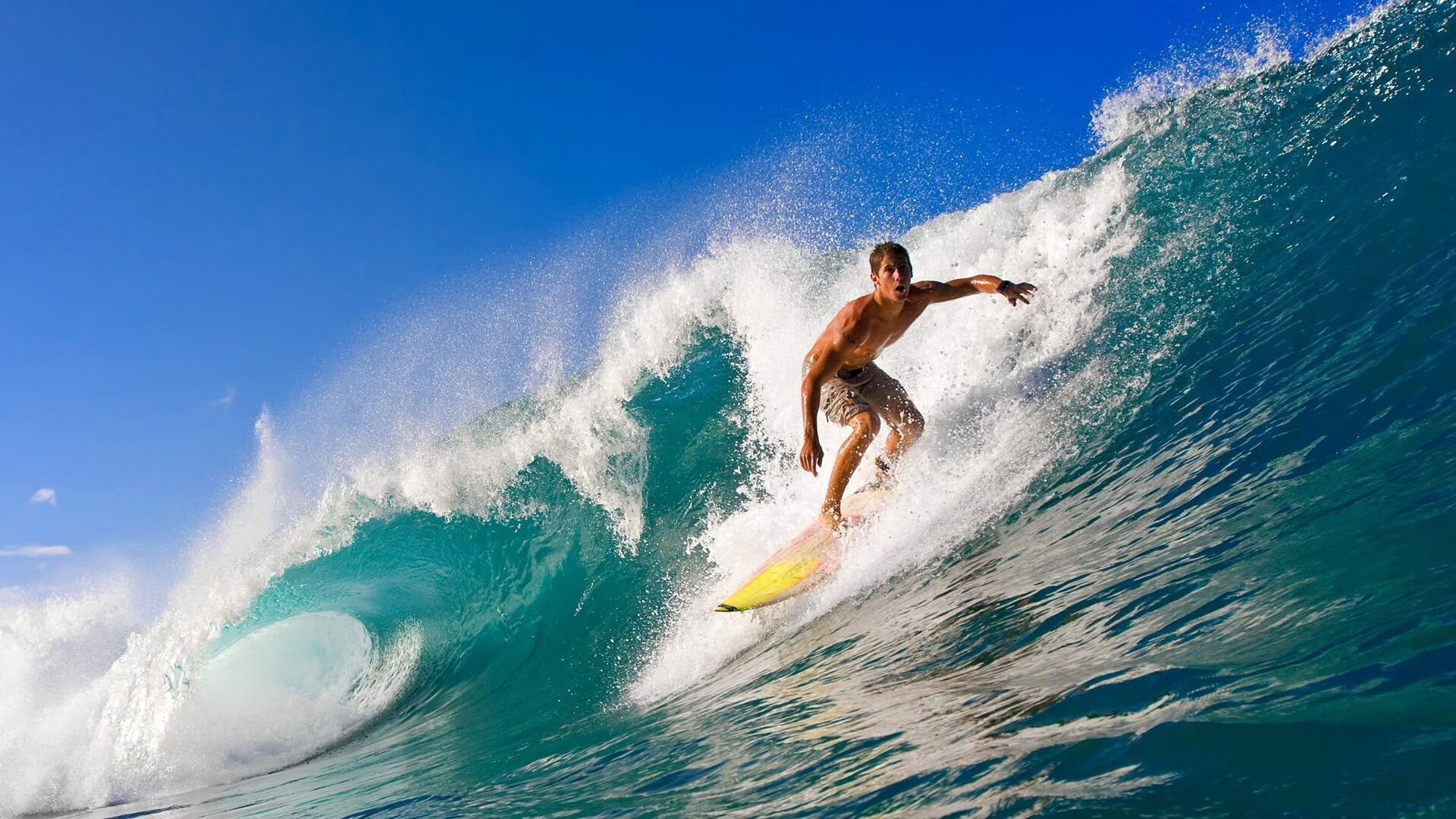 “球迷狂欢：最感人应援场面回顾”，球迷球迷